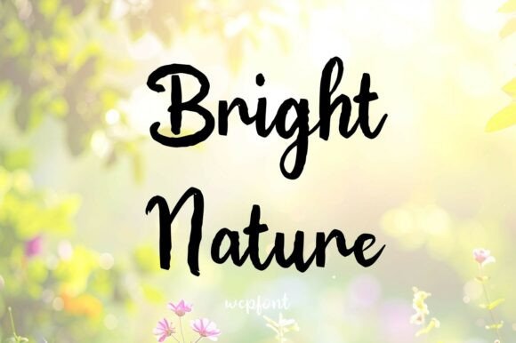 Bright Nature: A Warm Script Typeface for Brands