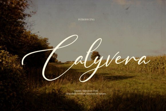 Calyvera: A Timeless Script Typeface for Elegant Branding