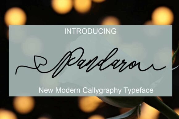 Pandaro Script Font for Modern Business Branding